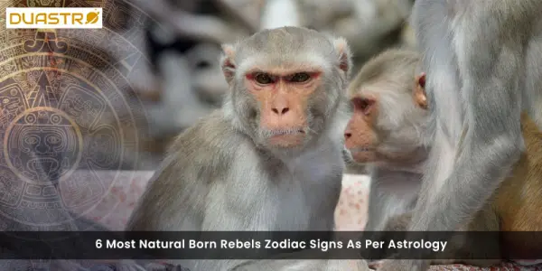 6 Most Natural Born Rebels Zodiac Signs As Per Astrology